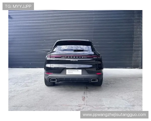 保时捷PG官网入口官方地址及登录流程全攻略